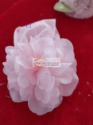 图片中花外发加工，寻专业做这种做花的加工