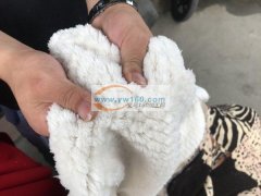 出售精品毛毯，毛被，几种颜色各两千件左右