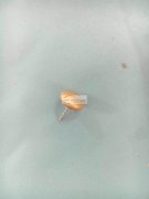 如图，产品外发加工，寻找专业点这款耳针的