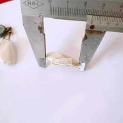 现需采购如图珍珠，有此珍珠的厂家与我联系