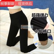 秋冬新款上线，价格美丽，现货供应，专供电