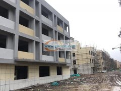 本人有园区一手厂房出售，五证齐全、一层一