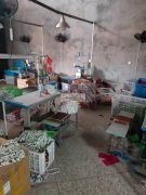 抱诚守真 倾耳戴目 