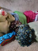 抱诚守真 倾耳戴目 