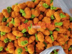 承接手工钩针活