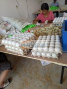 长年有50人左右干活，统一集中场地，包装