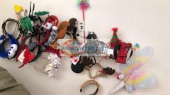 承接：打胶枪、挂圈、包装等各类手工活、质