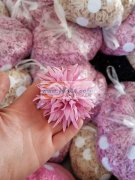 承接各种手工饰品加工，电烙铁，手打结，胶