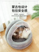 宠物服装制版、宠物服装设计，宠物衣服打板