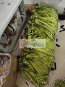 本厂专业承接，花样机加工，平车，同步车，