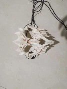 采购如图塑料面具，有此面具的厂家与我联系