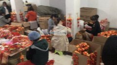 承接各种手工加工，固定员工12名，质量管