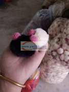 承接各类手工饰品加工，盘花，卷花，手打结