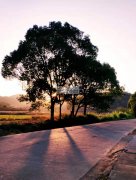 承接各种手工活【江西上饶（高铁一小时到义乌）】