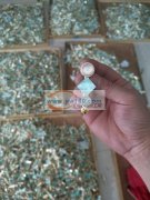 本厂源头饰品加工厂专供电商网络爆款，诚信