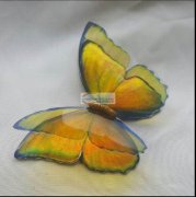 如图所示，寻找会做这款3D树脂蝴蝶的饰品