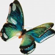 如图所示，寻找会做这款3D树脂蝴蝶的饰品