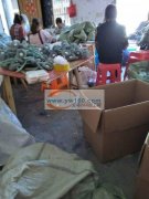 接各种手工加工，包装，贴卡片，打胶枪，饰