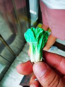 求购树脂挂勾配件或成品