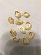 如图所示，找贝壳厂家，急需，价格实惠，出