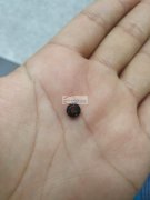 采购图中配件，市场上谁家有这种3*6的珠