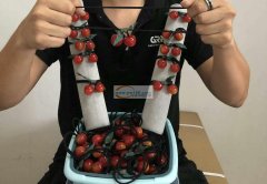 采购图中樱桃配件，寻找此类配件，有货的联