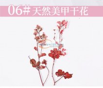 采购美甲干花材料，价格实惠的，有货的厂家