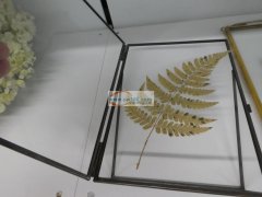 寻求相框，挂的尺寸为：13X18CM,摆