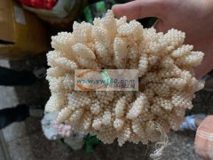 bb夹 编织手链 编