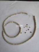 求购这种贝壳现货，如图，要求要一样，40