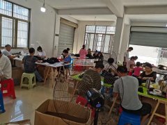 兰溪500平米大场地，接简单，手工为主，