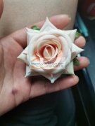 绒布玫瑰花卷边，尺寸7CM数量11万个，