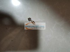 本部有固定做事的50位人员，长期承接挂圈