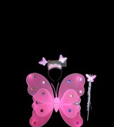 本厂现有蝴蝶翅膀魔法棒外发加工，如样品图