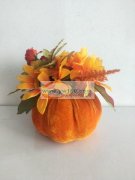 寻可生产如图所示的南瓜生产工厂，有生产的