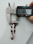 采购，寻同样品的头卡上的透明扣，有货的联