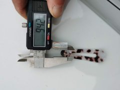 采购，寻同样品的头卡上的透明扣，有货的联