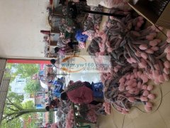 本加工点定点15个人左右，外发3.4十人