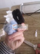 专业手工活外发承接：头箍、发夹、蝴蝶结、