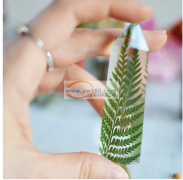 如图所示，寻找做这几款产品的工厂，一定要