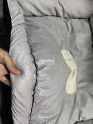 宠物窝外发，每月有货，稳定，寻后宅附近的