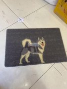 有订单要做，采购地毯，样品看图，寻找工厂