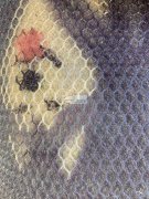 有订单要做，采购地毯，样品看图，寻找工厂