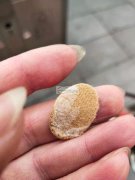 采购图中这种皮，谁家有这样的皮，有货的请