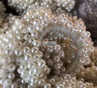 采购图中珍珠皮筋，数量2万条，有同款珍珠