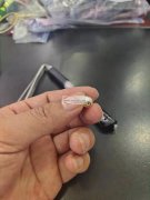 【量大】采购如图仿珍珠耳塞，可长期合作 