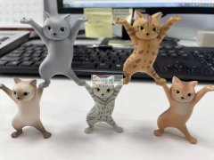 现需寻找图中产品，成品或者产品工厂，有成