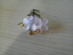 谁家有这款长度为8厘米左右的花枝，如图所