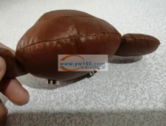 如图产品，找玩具加工厂，自己工厂，自己做