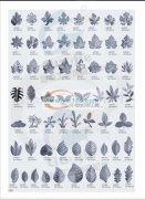 有现货，有需要联系，爪钻，铁艺花边，树脂钻，压克力钻